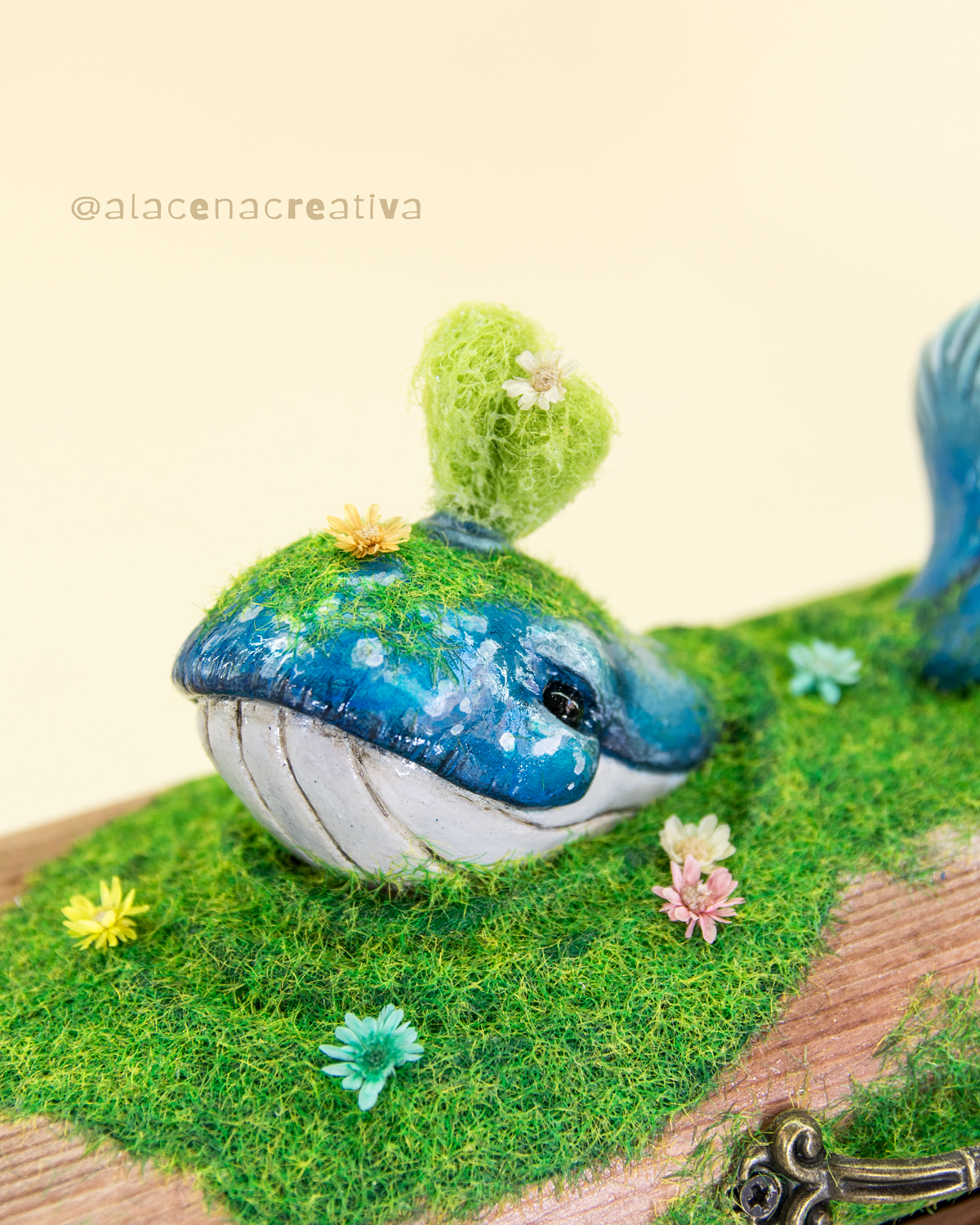 caja-joyero-ballena-de-musgo-cabeza