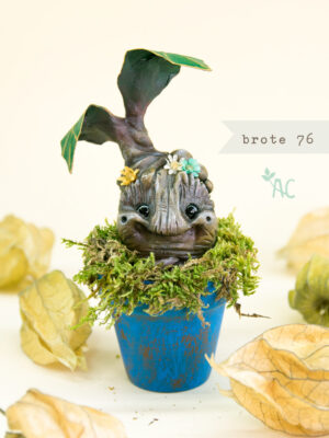 brote-76-maceta
