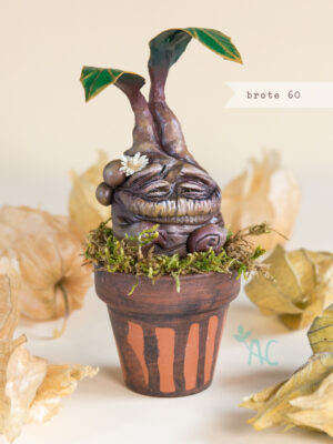 brote-60-maceta