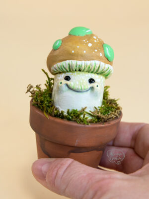 honguito-marron-mediterraneo