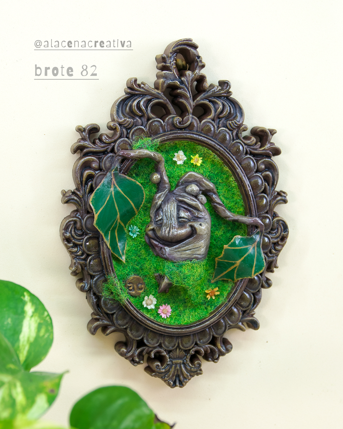 mandragora-brote-82