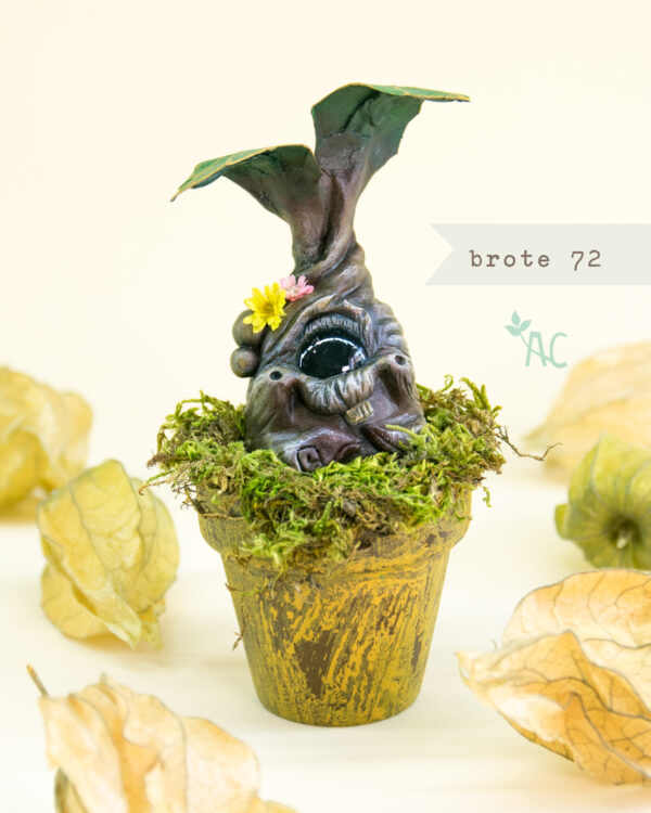 brote 72