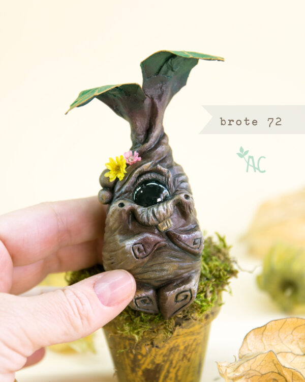 brote 72 detalle