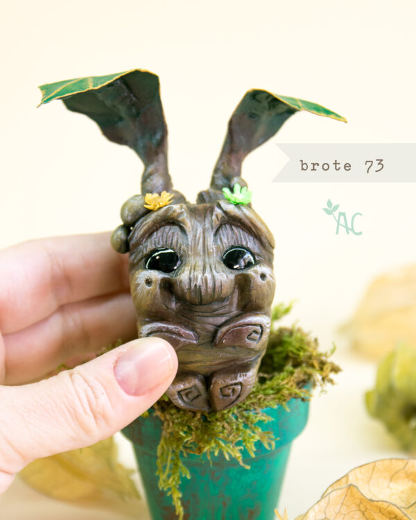 brote-73-detalle