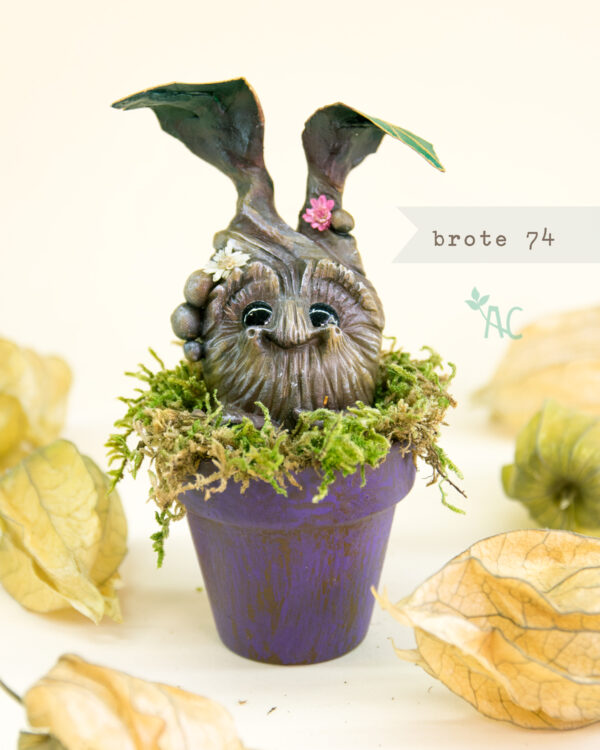 brote-74