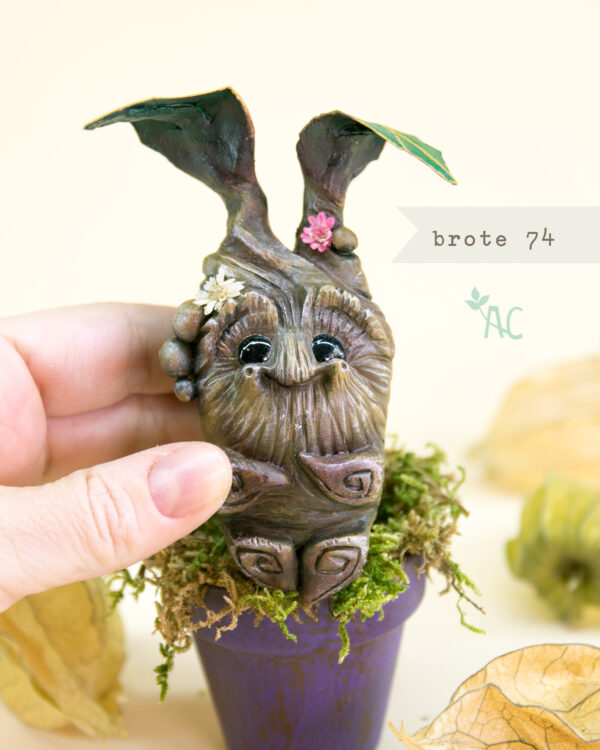brote-74-detalle