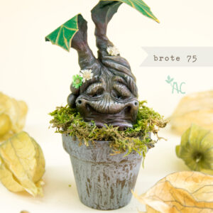 brote-75