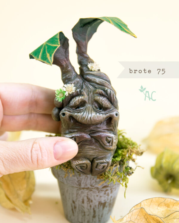 brote-75-detalle