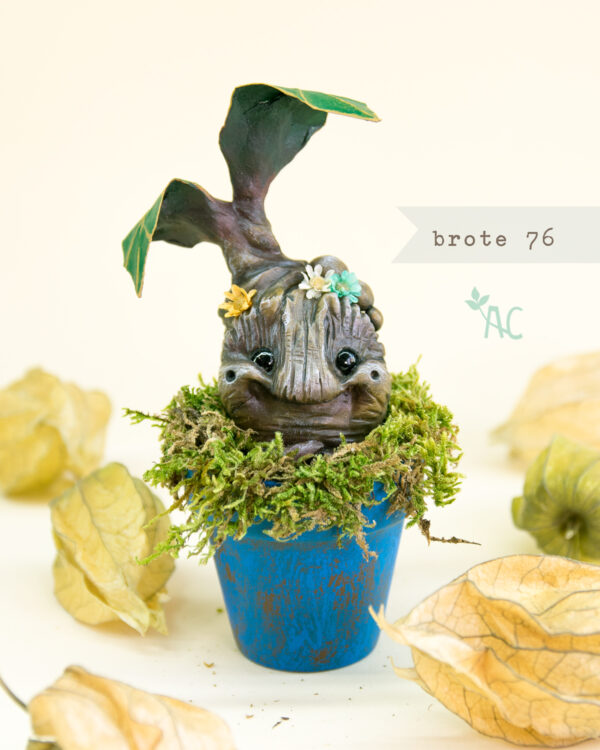 brote-76