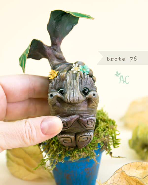 brote-76-detalle