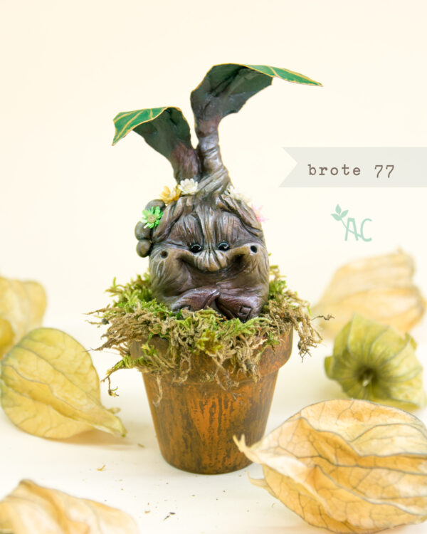 brote-77