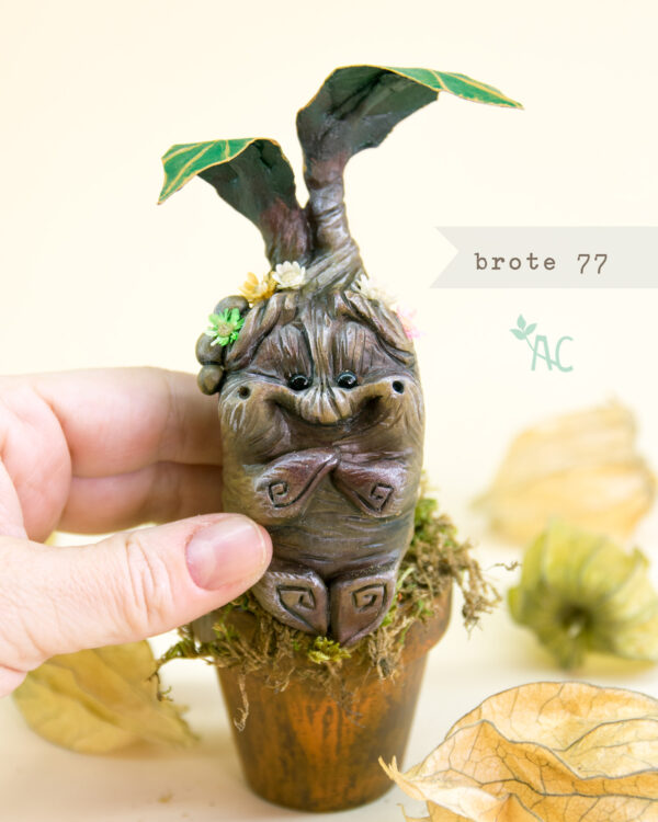 brote-77-detalle