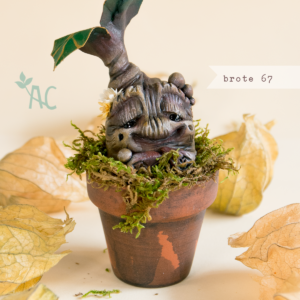 brote67