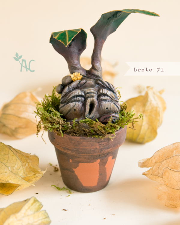 brote71